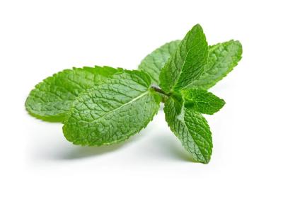 深秋咳嗽不止？快在茶杯里放几朵花！