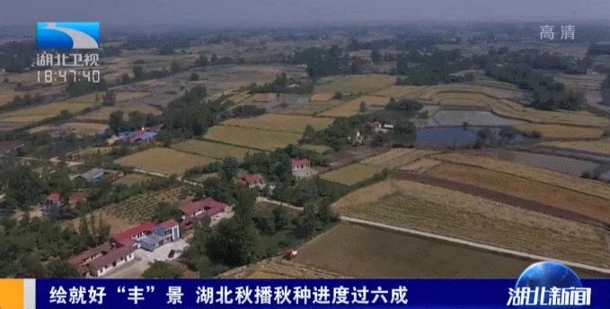 【媒体聚焦】绘就好“丰”景 湖北秋播秋种进度过六成