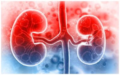 肾脏会不会出问题，看看这4点就知道了！想要肾脏不受伤，坚持这几个好习惯
