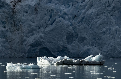 科学家警告：气候变暖或造成北极病毒“溢出风险”！