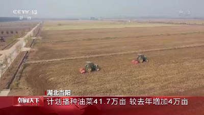 全国秋粮收获超八成 秋冬种同步进行