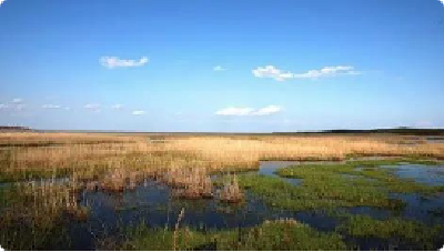 中国印发湿地保护规划 将实施30个湿地保护修复项目