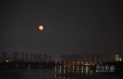 就在明晚，别错过！