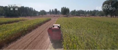 粮食主产区采取多种机收模式，实现减损增收