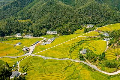 我国新添4处世界灌溉工程遗产