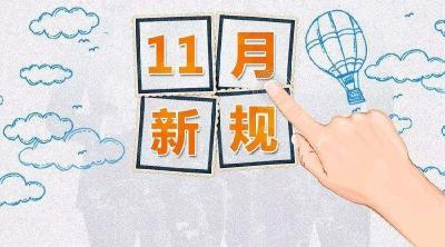 11月新规来了！涉及个体工商户、食品安全、药品安全……