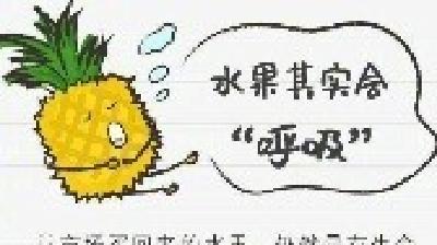 并不是所有水果都适合在冰箱储存！