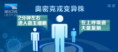 防疫健康小贴士 | 奥密克戎绝不是“大号流感” 