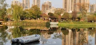 钓手立功！武汉一人工湖中的鳄雀鳝被钓起来了