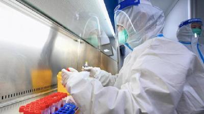 石家庄取消全员核酸检测？官方回应来了