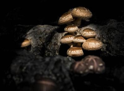 祝贺！我国再添一项全球重要农业文化遗产