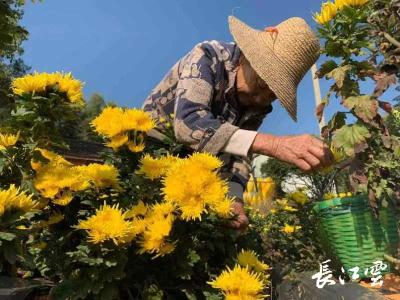 蕲春管窑镇：共同缔造好“丰”景，旺了产业，富了乡亲