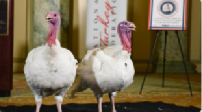 物价飙升，美国人或迎来史上最贵的感恩节晚餐