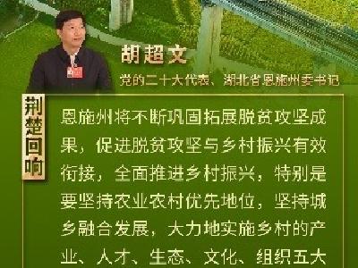 【总书记的话记心上·荆楚回响】巩固脱贫成果，推进乡村振兴