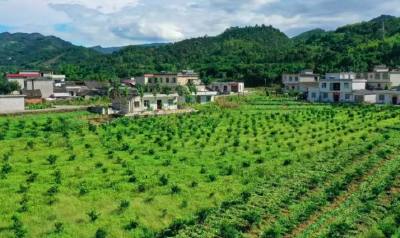 正在公示！湖北22家农场入选国家级生态农场