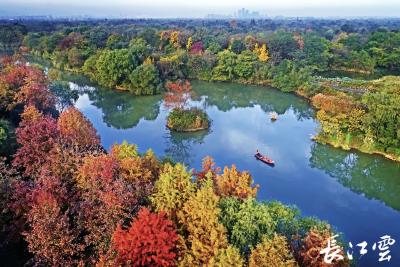 12处国际重要湿地之水将汇入武汉东湖，让世界感受中国湿地之美（三）