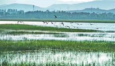 共同推进湿地保护全球行动——《湿地公约》第十四届缔约方大会综述