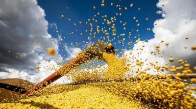 丰收背后看大国实力丨13731亿斤！告诉你丰收背后的这些事！