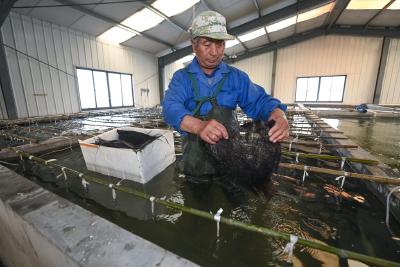 2023年4月湖北省水产养殖病害预测预报