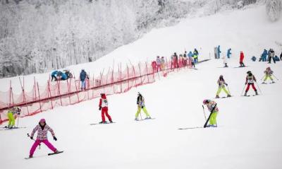 滑雪的尽头是骨科？安全指南来了
