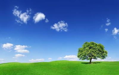 新“大气十条”出炉 中国如何持续深入打好蓝天保卫战？