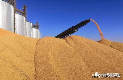 去年全国粮食收购量超4亿吨 粮企工业总产值预计同比增长7%   