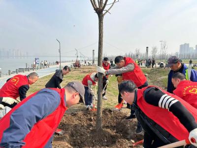   “植”此青绿，中建二局华中公司在多地开展植树志愿活动