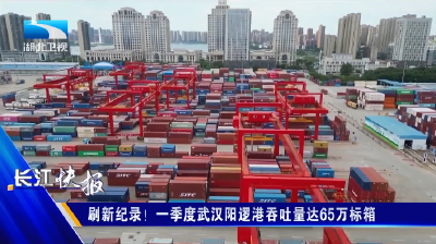 刷新纪录！一季度武汉阳逻港吞吐量达65万标箱