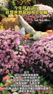今年可在武汉欣赏世界花园大会花展