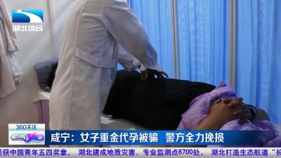咸宁：女子重金代孕被骗   警方全力挽损