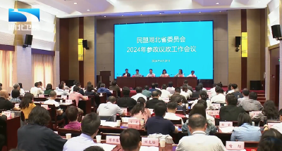 民盟湖北省委2024年参政议政工作会议在汉召开
