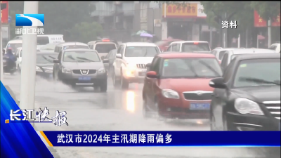 武汉市2024年主汛期降雨偏多