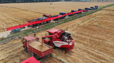 机械化助力 湖北宜城68万亩小麦丰收开镰