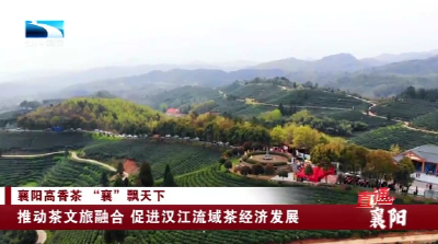 襄阳：推动茶文旅融合 促进汉江流域茶经济发展