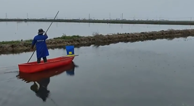 长江禁捕第四年，渔民上岸就业解决了吗？还有哪些现实问题？