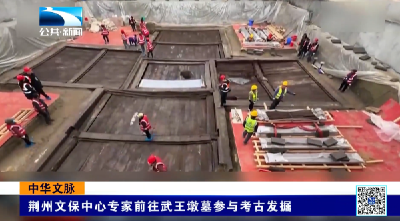 中华文脉 | 荆州文保中心专家前往武王墩墓参与考古发掘