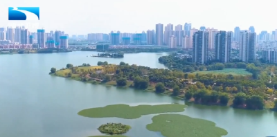 武汉上新24处家门口的“共享绿地”
