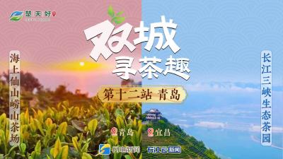 双城寻茶趣⑫青岛&宜昌丨长江三峡对话海上仙山：好茶！
