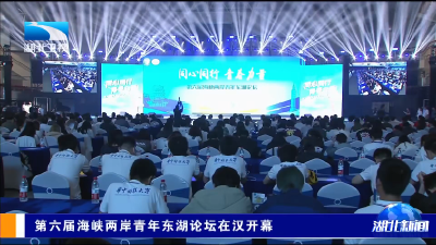 第六届海峡两岸青年东湖论坛在汉开幕