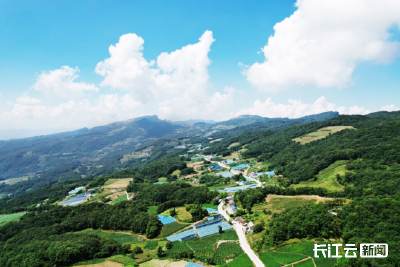 宜昌长阳：“亿元村”里百姓乐 “天空菜园”丰收年