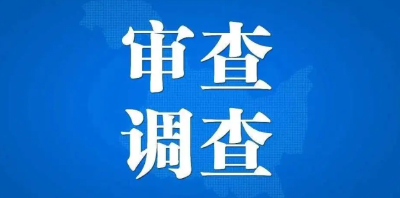 中国黄金集团有限公司原党委书记、董事长卢进接受审查调查