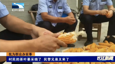 我为群众办实事｜村民的茶叶要采摘了 民警兄弟又来了