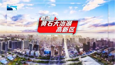 ​直通黄石大冶湖高新区 | 创新引领 产业升级 大冶湖高新区加速融入武汉都市圈