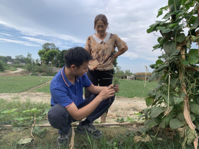 新洋丰农艺师：为农民科学用肥当好参谋