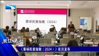 《寰球民意指数（2024）》在汉发布