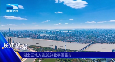 湖北三地入选2024数字百强市