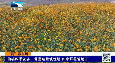 “荆”彩市州｜仙桃四季花谷：曾是垃圾填埋场 如今鲜花遍地开