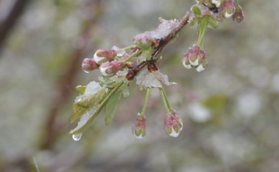 强冷空气来袭！湖北要下雪了！