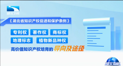 权威发布 | 湖北省知识产权促进和保护条例明年1月1日起正式实施