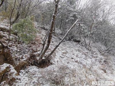 今天神农架又下雪了！